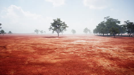 a serene landscape with trees in the distance