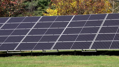 Medium-shot-of-solar-panels-on-grassy-lawn-with-autumn-trees-in-background