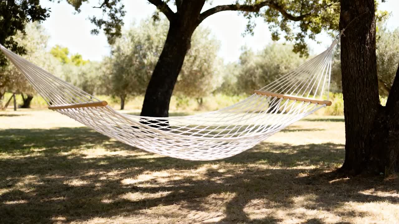 Una leggera brezza fa oscillare un'amaca di corda bianca verso destra, immergendosi tra le querce in una radura illuminata dal sole