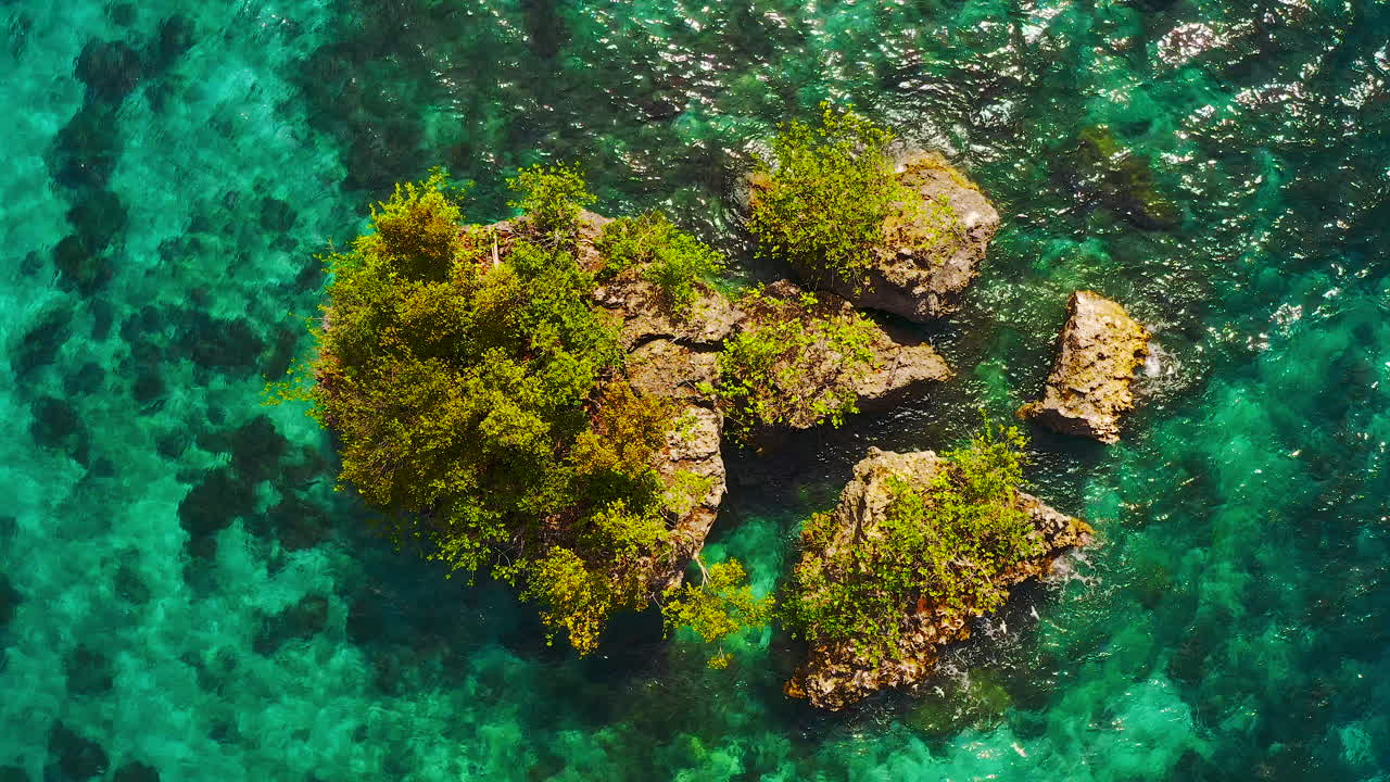 There's beauty all around if you search for it