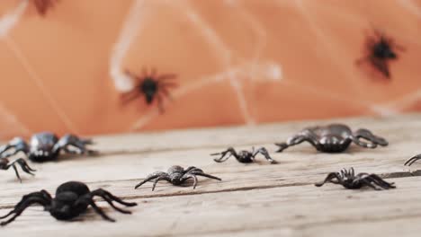 Video of halloween spiders and spider&#039;s web and copy space on wooden and orange background