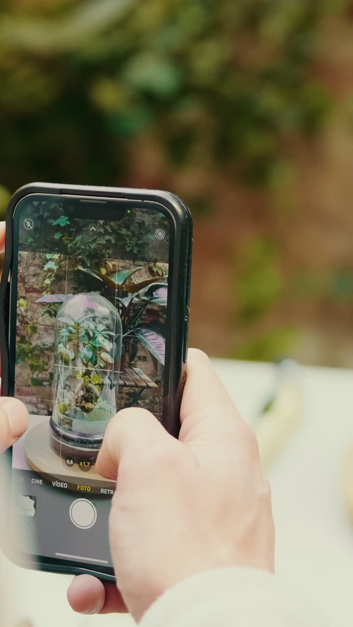 Close-up de mãos usando um smartphone para fotografar um terrário