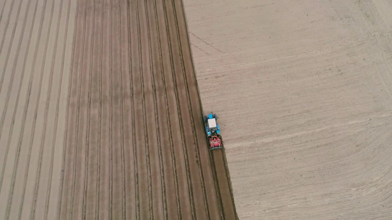 에 관개 시스템의 설치. 에서 일하는 트랙터의 공중 영상. 당근을 심는