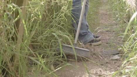 Homeowner-sweeping-overgrown-pathway-with-broom