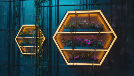 hexagon-shaped wall decor with plants and neon lights