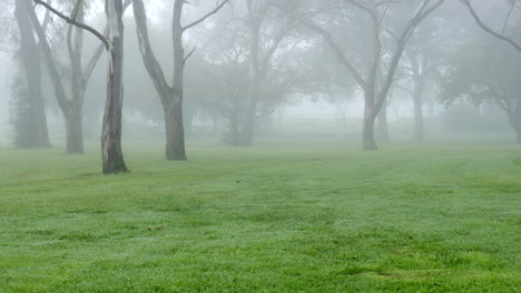 Parque-Urbano-Brumoso-En-Una-Mañana-De-Invierno