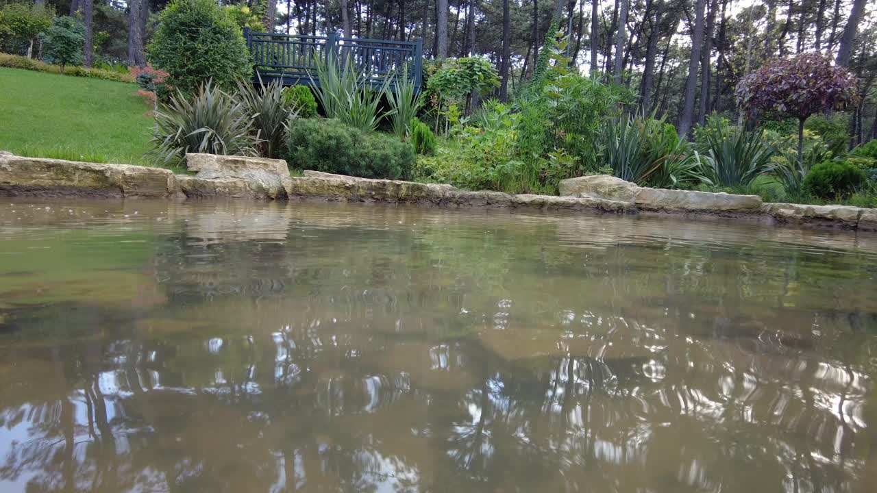 un estanque sereno en un jardín exuberante
