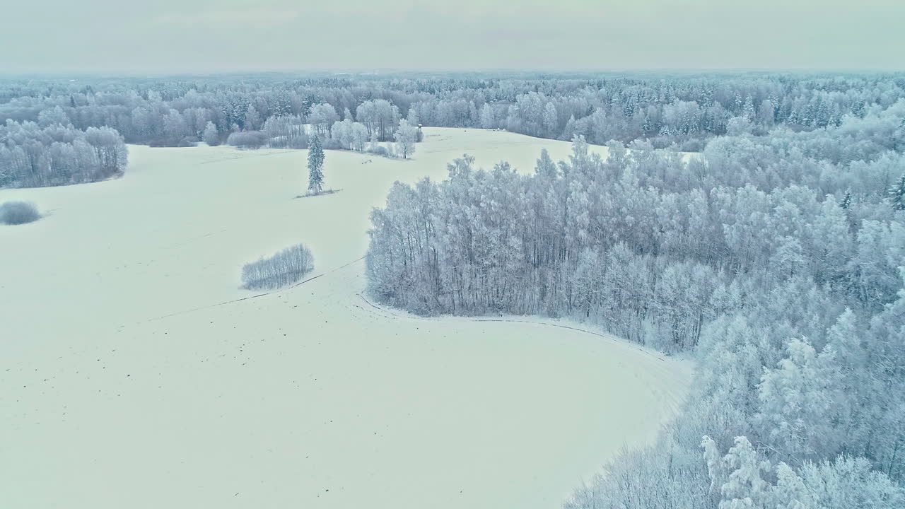 Rural forest and meadow countryside covered with snow and frost - ascending aerial flyover