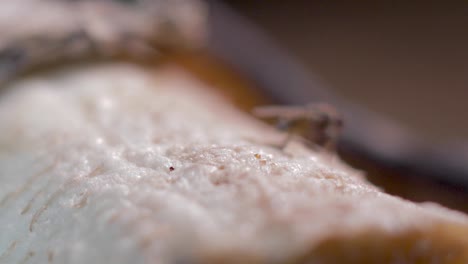 two flies walking on a rotten banana