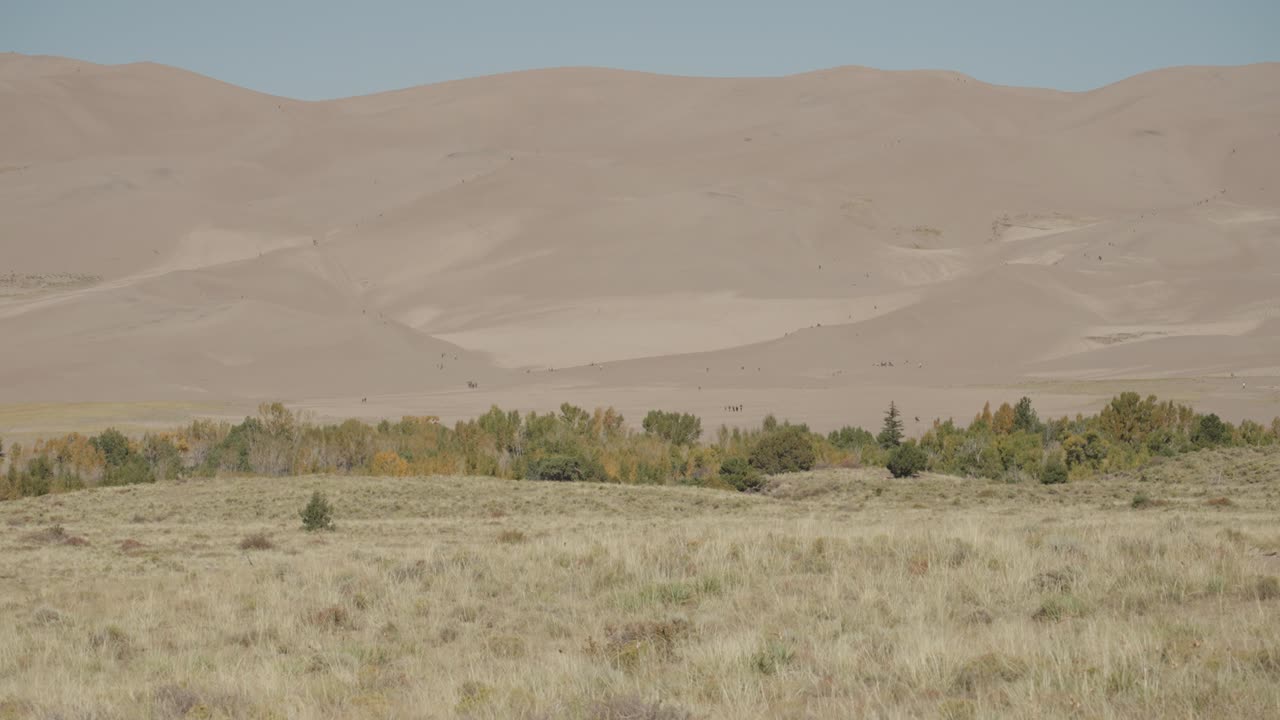 Sand Dunes Landscape