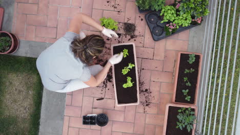 vista aérea de una chica caucásica haciendo jardinería en su tiempo libre