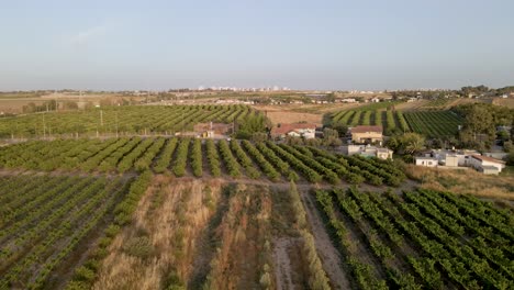 Toma-Aérea-De-Las-Aldeas-De-Shuva-En-El-Distrito-Sur-De-Sdot-Negev,-Israel