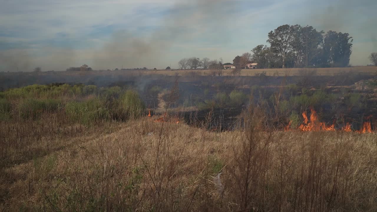 View of flames and smoke from a grass fire