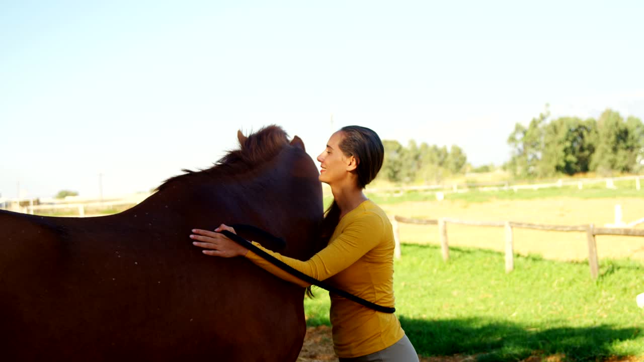 Veterinarian doctor standing with the horse 4k
