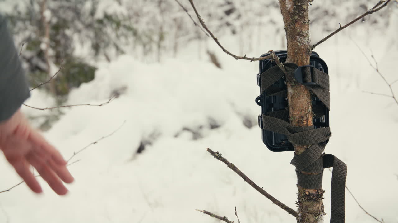 Nærbillede over skulderen af en person, der fastgør et vildtkamera til et træ, med lav dybdeskarphed og blødt vinterlys i en sneklædt skov.