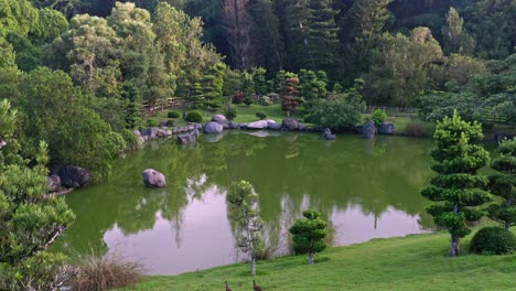 Toma-Aérea-Hacia-Adelante-Sobre-El-Estanque-En-El-Jardín-Japonés,-Santo-Domingo