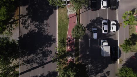 Drone-top-view-of-a-bike-in-a-beatifull-bikelane-surrounded-by-flowers-in-SãoPaulo-Brazil