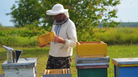 hardworking beekeeper in national shirt and protective hat looks at new honeycomb. sunny summer day at apiary.
