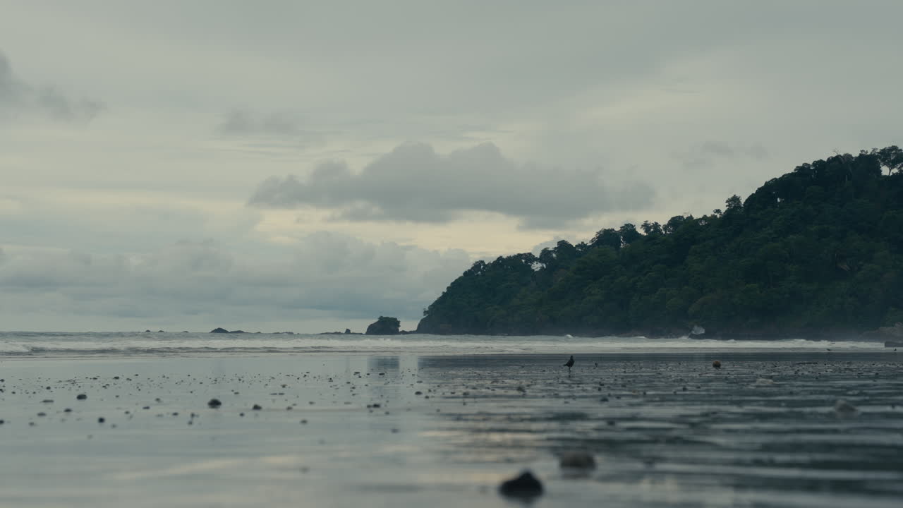 Scenic Beach Landscape with Lush Green Hill and Cloudy Sky