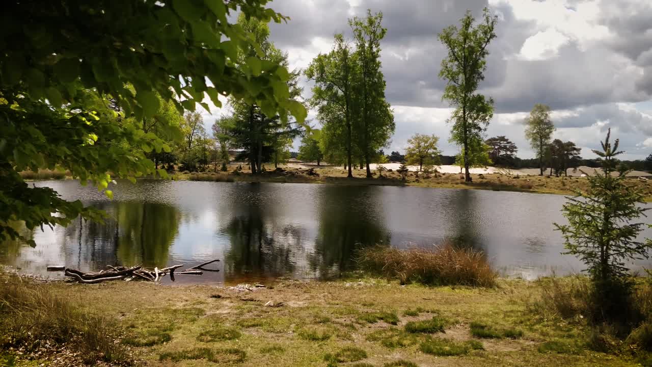 un pequeño estanque en un páramo al lado de un bosque