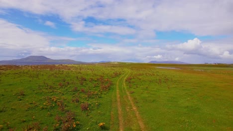 camino vacío que pasa por el campo 4k