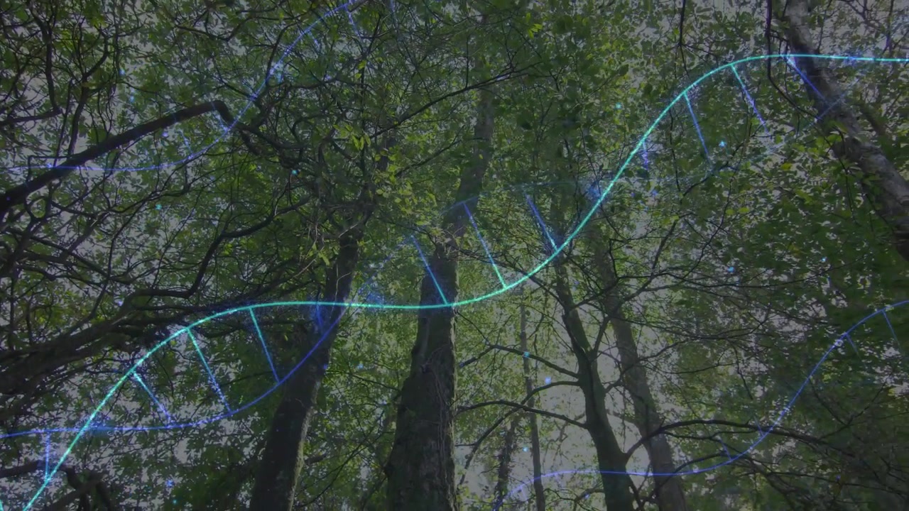 Luminous helix entering left, sweeping canopy while tracing particle trails, visualizing tech data