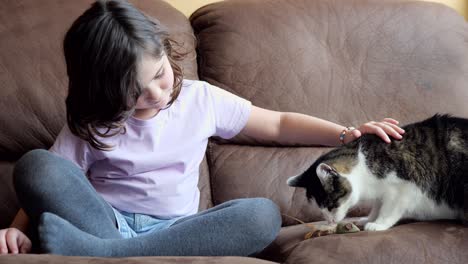 cute little girl playing with cat on sofa