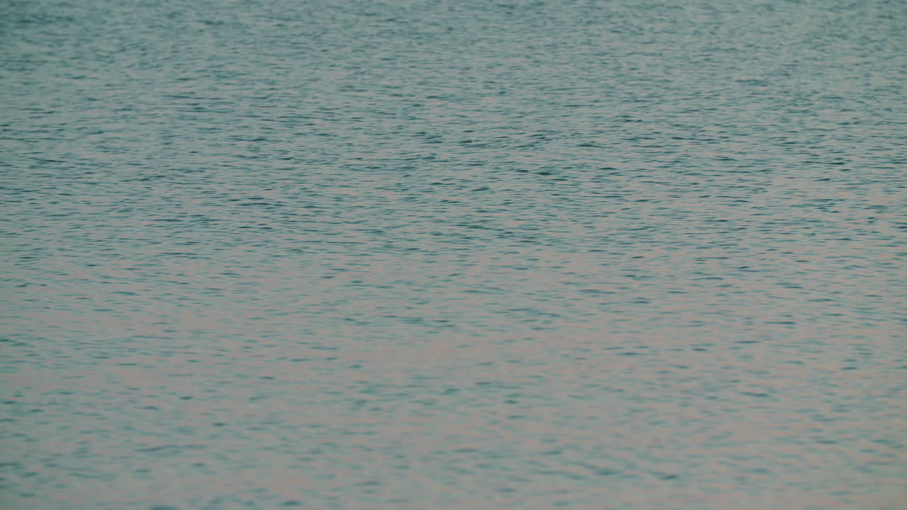 물 표면의 파동