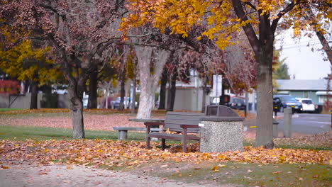 Hojas-De-Otoño-Cayendo-Alrededor-De-Un-Banco-Del-Parque