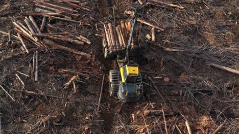 Lumber-Loading:-Bird's-Eye-View-of-Forwarder-on-BC-Mountain