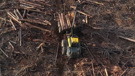 Lumber Loading: Bird&#039;s Eye View of Forwarder on BC Mountain