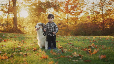 An-Asian-toddler-walks-his-dog-in-a-park.-Funny-videos-with-animals