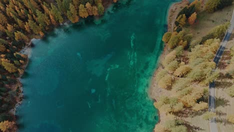 Panorámica-Desde-El-Cristalino-Lago-De-Montaña-Palpuogna,-Azul-Claro-Y-Verde,-Hasta-Las-Coloridas-Hojas-De-Los-árboles-Otoñales-En-Suiza-Hasta-La-Carretera-Que-Sale-De-La-Montaña