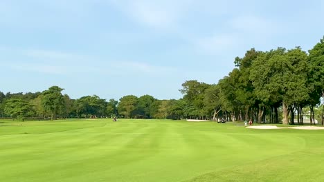 wide view of a lush green fairway bordered by trees under a clear blue sky.