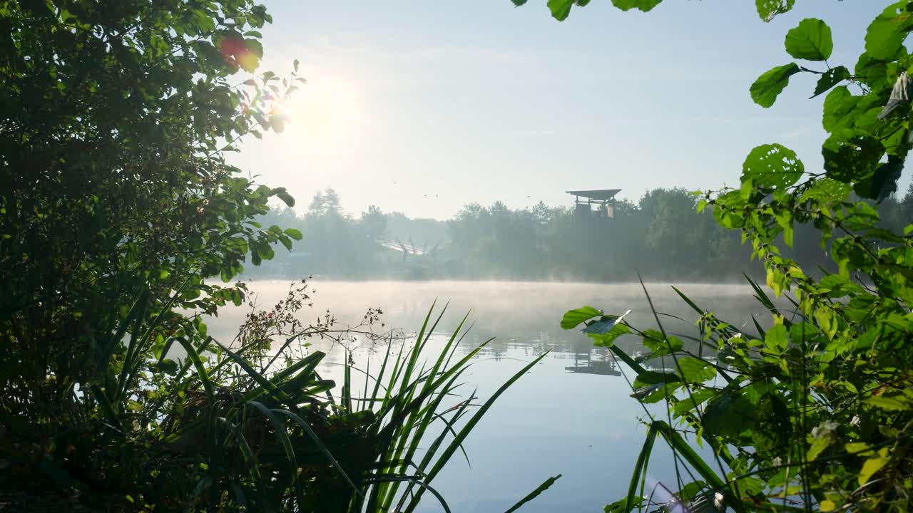 호수 근처의 안개가 가득한 아침