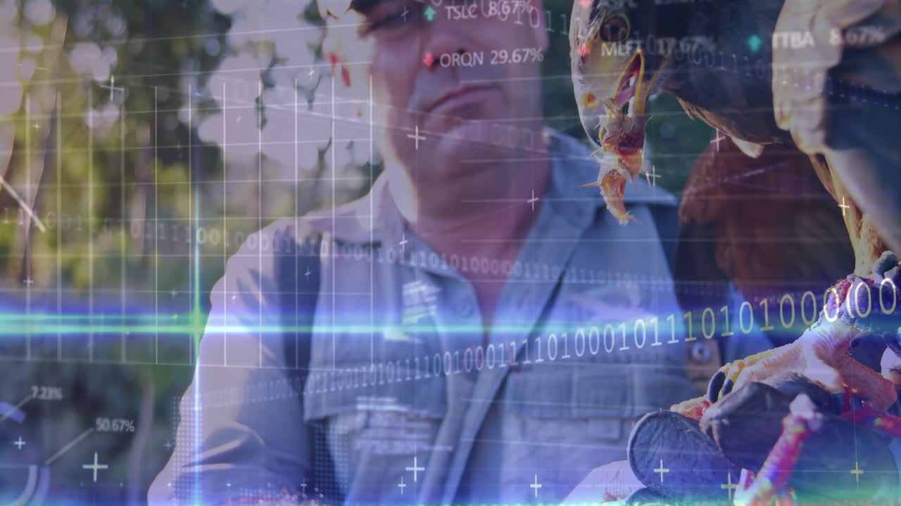 Male falconer feeding hawk meat outdoors, showcasing finance line charts and stock ticker