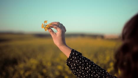 video cinematográfico de una joven jugando con una flor recién recogida rodándola entre sus dedos apreciando la naturaleza mientras está en el campo por la noche después de terminar el trabajo del día