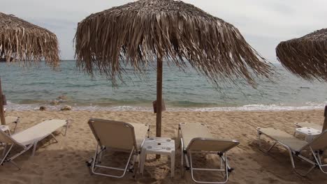 wide back view of a beach sun beds and umbrellas