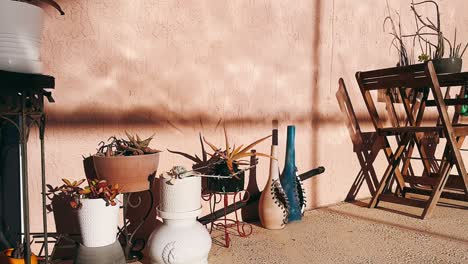 outdoor patio with plants and decor