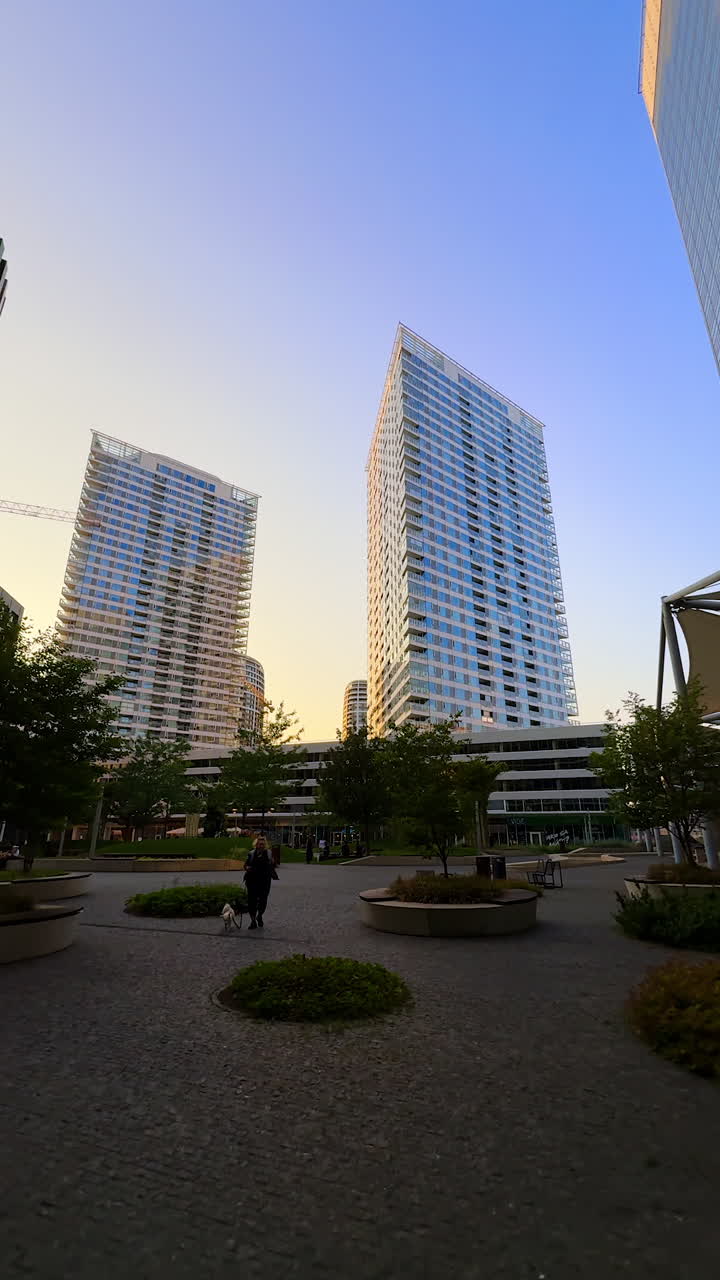 A walk by the little park in the city. Low angle view at the high-rise buildings. Woman walks a dog. Bratislava, Slovakia. Vertical video.