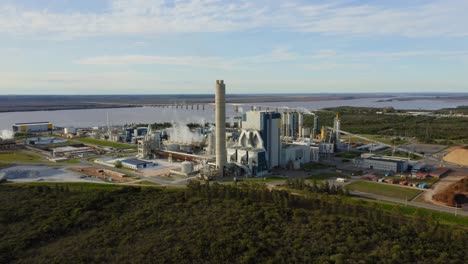 molino de celulosa en la orilla de un río en américa del sur uruguay