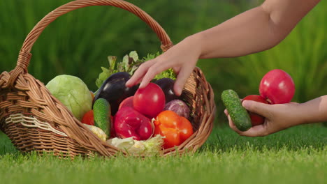 verduras frescas en una canasta