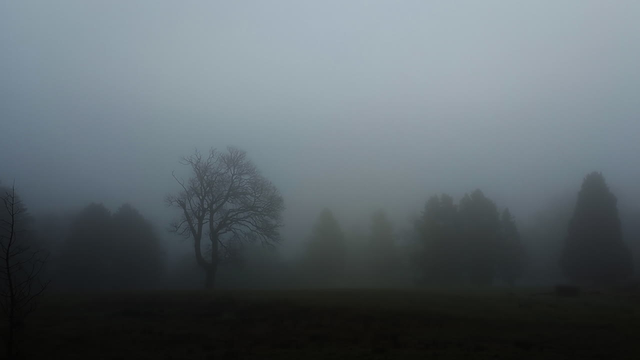 Silhouetted Trees in Dense Fog with Volumetric Lightning Thunder Strikes in Dense Clouds. Scary Spooky Storm VFX.