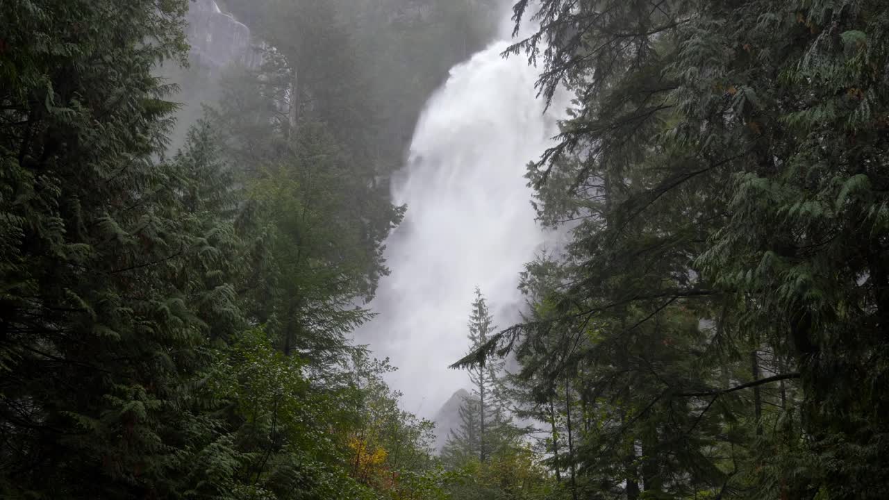 flujo masivo de cascada en la montaña del bosque durante el amanecer