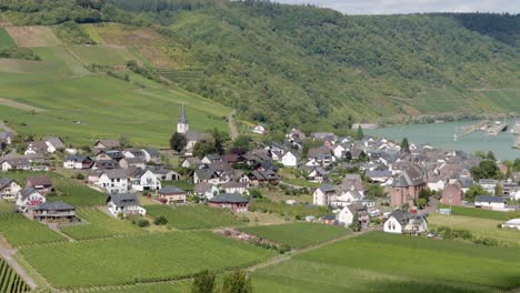 A-Picturesque-Landscape-Of-Lush-Green-Vineyards-And-Village-At-The-Mosel-Valley,-Germany