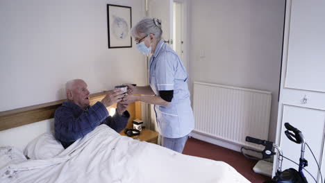 elderly care at home