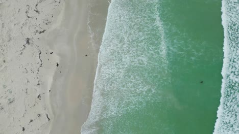 volando a lo largo de la costa en sudáfrica