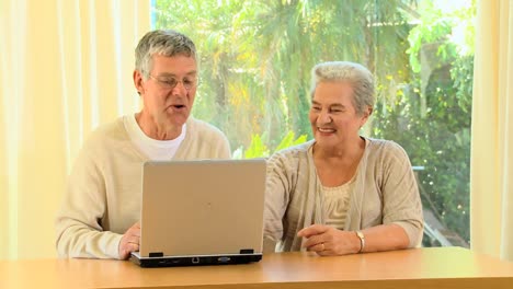 Älteres-Paar,-Das-Einen-Laptop-Benutzt