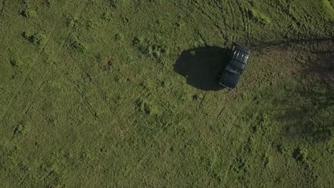 cámara lenta de arriba hacia abajo disparo de drone aéreo de clásico 4wd suv conduciendo a través de campo de hierba verde