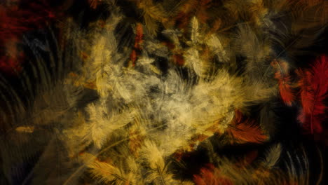 abstract feather pattern